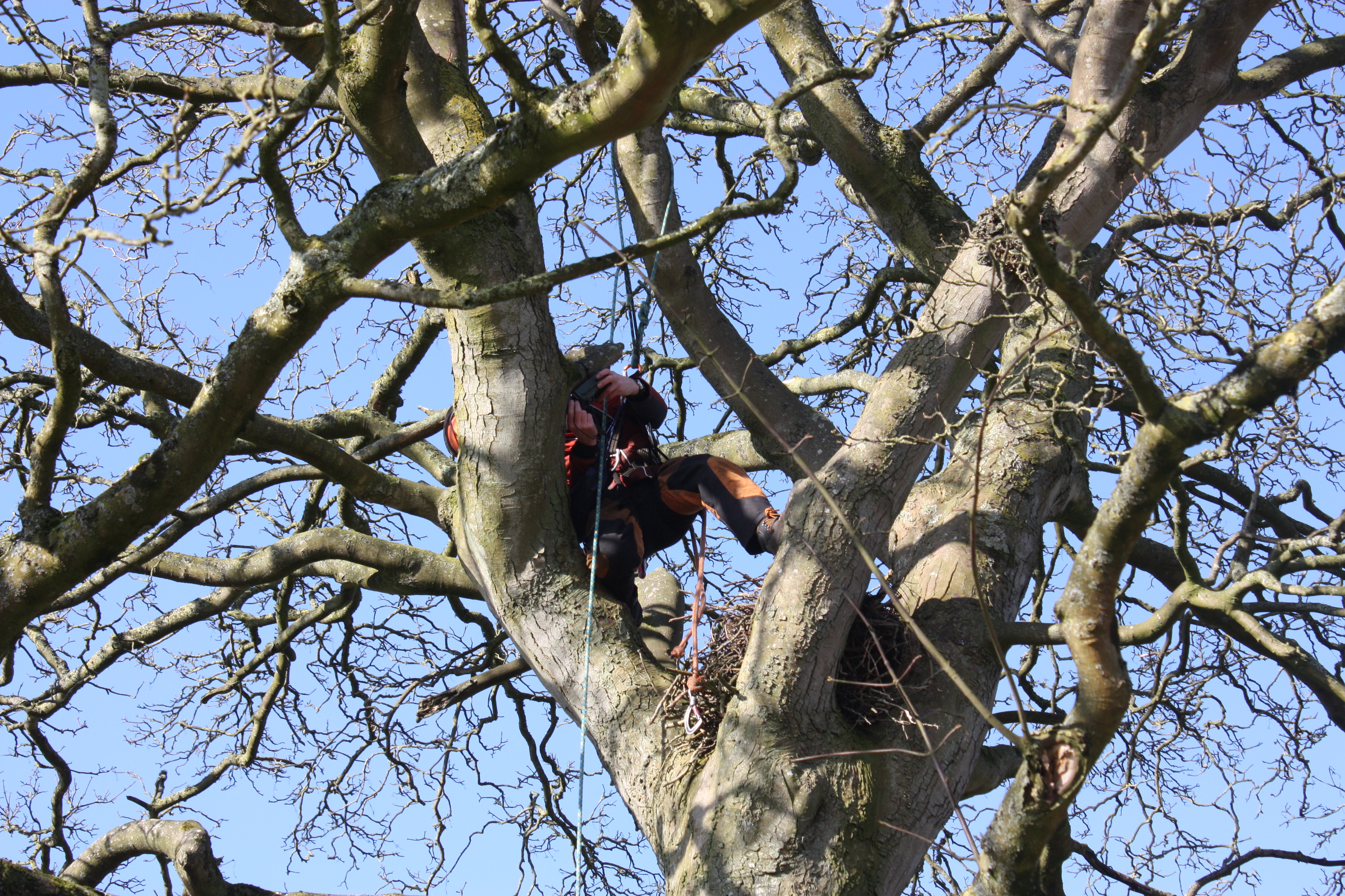 This image has an empty alt attribute; its file name is img_4442-1.jpg