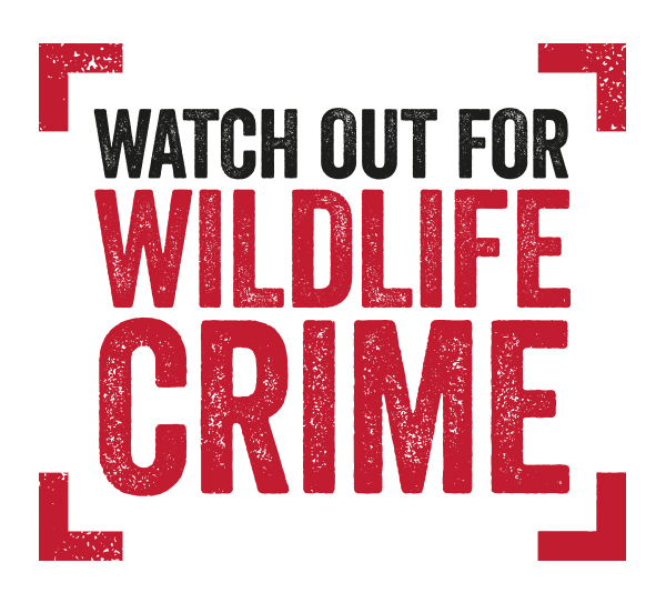Text graphic warning to 'Watch Out for Wildlife Crime' with bold red lettering